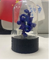 Medysk tapassingssaak: 3D-printtechnology brûke om in biologysk model fan it lichem te meitsjen