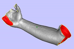 Modely fitsaboana 3D fanontana