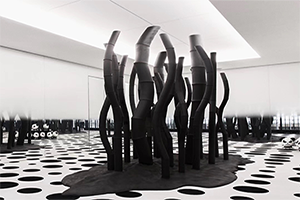 3D printing display model